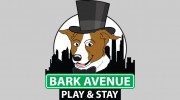 Bark Avenue Play & Stay Roseville