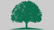 First Oak Wealth Management