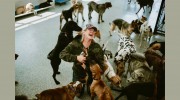 Dogcity West Seattle