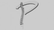 Pace Family Chiropractic