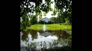 Burdoc Farms Weddings & Events