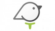 Birdies 4 Brains MN