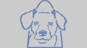 Kaibab Animal Hospital