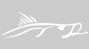 Fish AMI Fishing Charters