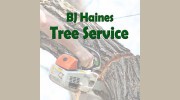 BJ Haines Tree Service