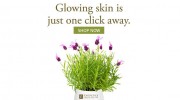 Le Blanc Day Spa