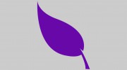 Grow Property Management