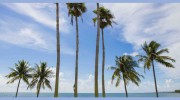 Provident Hotels & Resorts