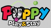Puppy Play & Stay