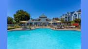 Seagate Village Apartments