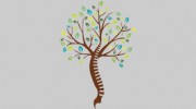 Beekman Chiropractic