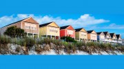 Beach & Forest Realty