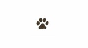 Country Paws Pet Boarding