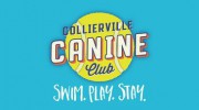 Collierville Canine Club