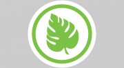 Exotic Foliage