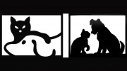 Stow Kent Animal Hospital