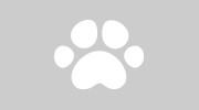 Desert East Animal Hospital
