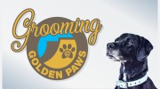 Grooming At Golden Paws