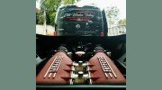 Elite Window Tinting