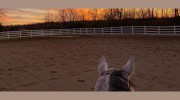 Hilltop Equestrian Center