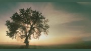 Genesis Recovery