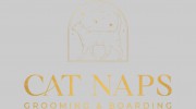 Cat Naps Cattery