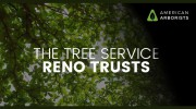 American Arborists