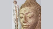 Acupuncture Eden