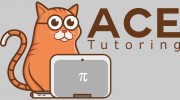Ace Tutoring