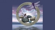 Zen Garden Wellness