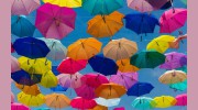 Seashore Insurance Agency