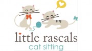 Little Rascals Cat Sitting