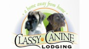 Classy Canine Lodging