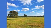 Circle T Realty