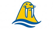 Walrus America