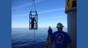Bosarge Diving