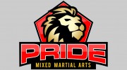 Pride Mixed Martial Arts