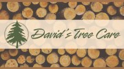 David's Tree Care