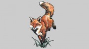 The Fox Den