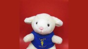 St. John's Christian Preschool