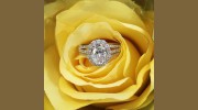 Shockey Jewelers