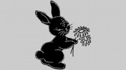Black Rabbit