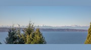 Three Tree Vista