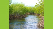 Fishing Adventures