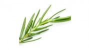 Golden West Acupuncture