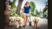 Coastal Pet Sitters