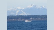 Blue Horizon Marine