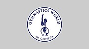Gainesville School Of Gymnastics