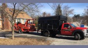 Maribito Tree Services