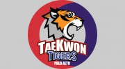 Tae Kwon Kids Palo Alto